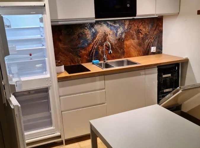 琥珀旅馆 旅馆 *